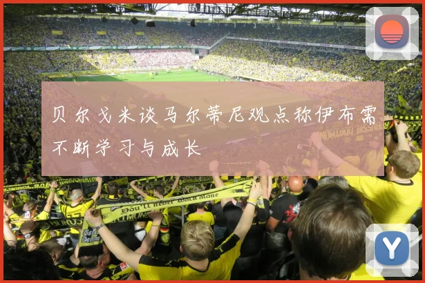 贝尔戈米谈马尔蒂尼观点称伊布需不断学习与成长